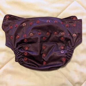 Smart Bottoms Too Smart Cover